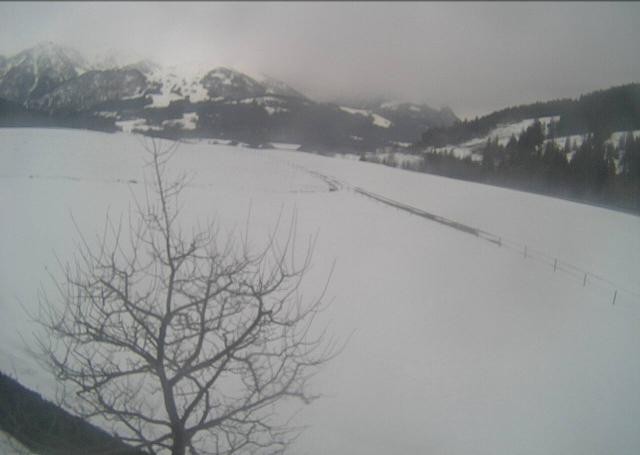 Archiv Foto Webcam Hochfilzen, Tirol