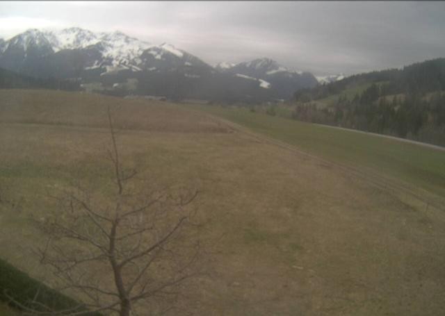 Archiv Foto Webcam Hochfilzen, Tirol
