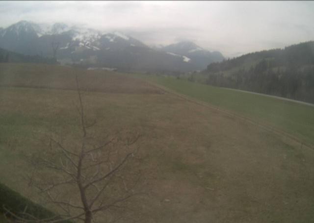 Archived image Webcam Hochfilzen, Tyrol