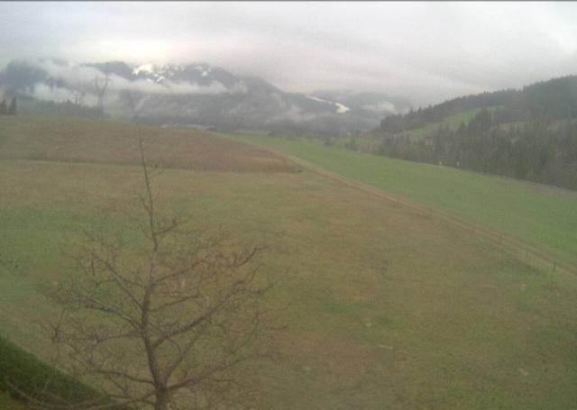 Archived image Webcam Hochfilzen, Tyrol