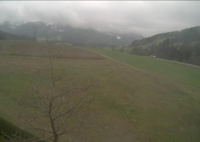 Archived image Webcam Hochfilzen, Tyrol