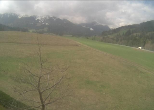 Archived image Webcam Hochfilzen, Tyrol