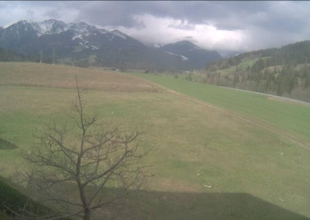Archiv Foto Webcam Hochfilzen, Tirol
