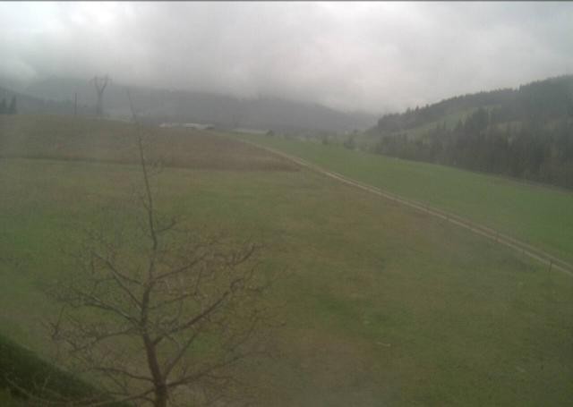 Archiv Foto Webcam Hochfilzen, Tirol