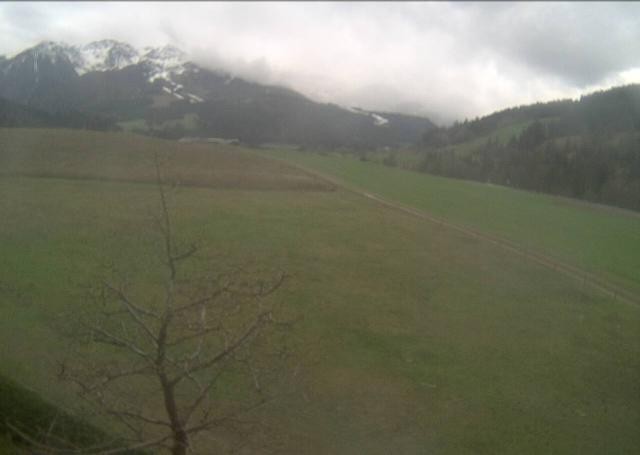 Archiv Foto Webcam Hochfilzen, Tirol
