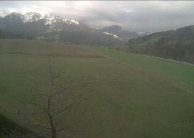 Archiv Foto Webcam Hochfilzen, Tirol