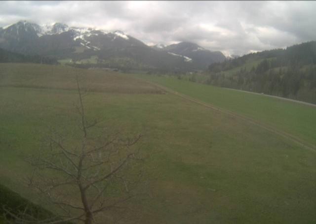 Archiv Foto Webcam Hochfilzen, Tirol