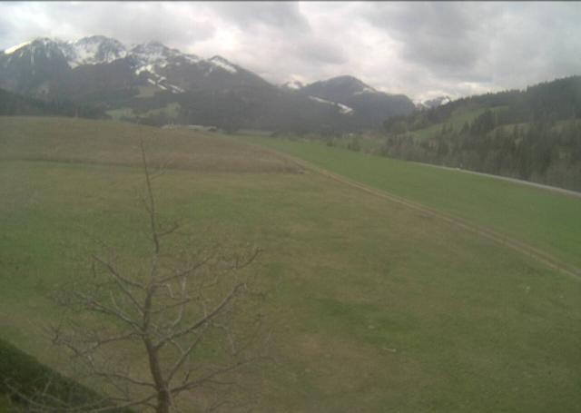 Archiv Foto Webcam Hochfilzen, Tirol