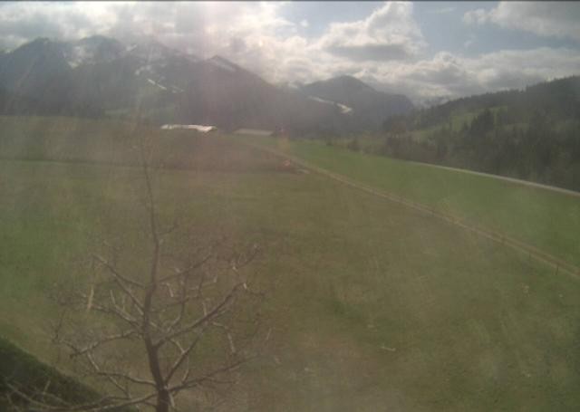 Archiv Foto Webcam Hochfilzen, Tirol