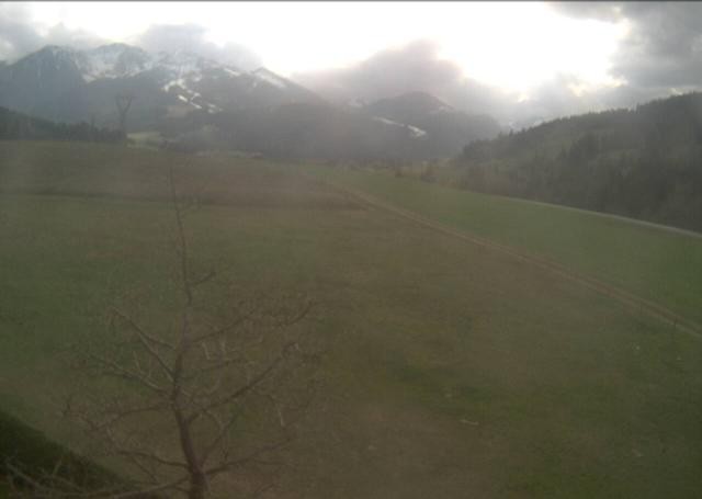 Archiv Foto Webcam Hochfilzen, Tirol