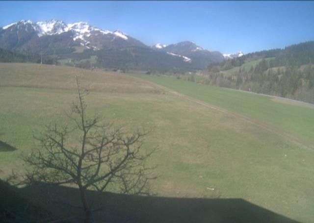 Archiv Foto Webcam Hochfilzen, Tirol