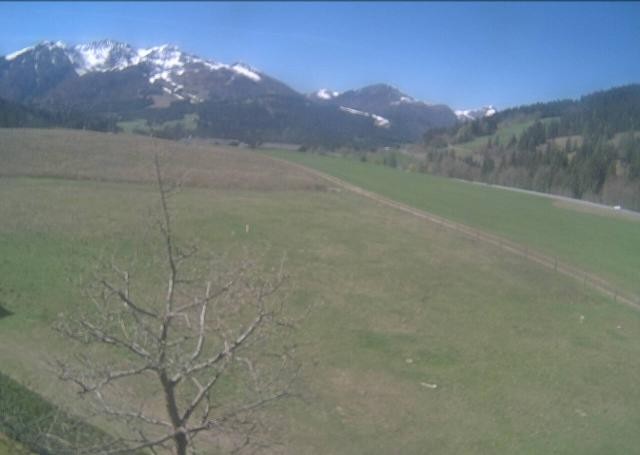 Archiv Foto Webcam Hochfilzen, Tirol
