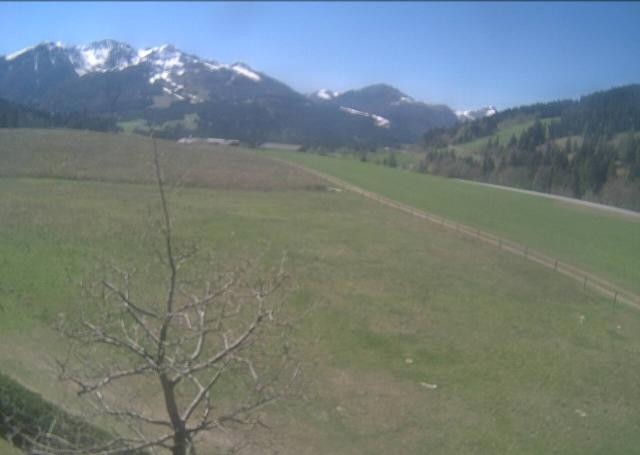 Archived image Webcam Hochfilzen, Tyrol
