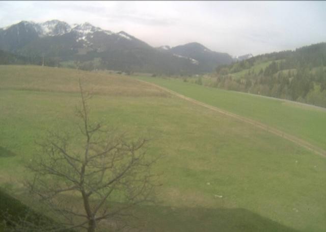 Archiv Foto Webcam Hochfilzen, Tirol