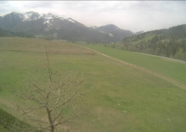 Archiv Foto Webcam Hochfilzen, Tirol