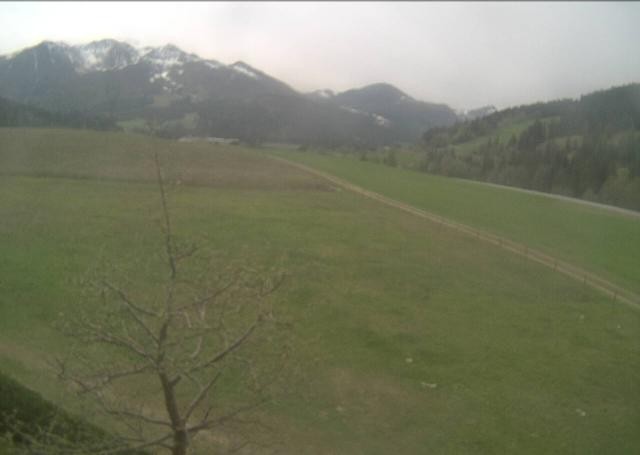 Archiv Foto Webcam Hochfilzen, Tirol