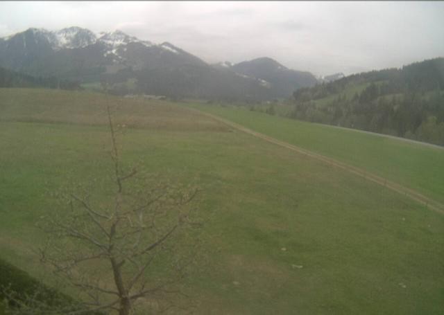Archiv Foto Webcam Hochfilzen, Tirol