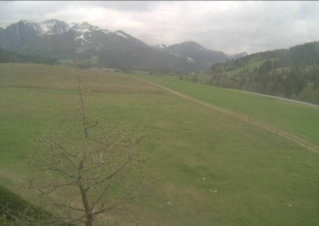 Archiv Foto Webcam Hochfilzen, Tirol