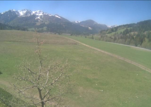 Archived image Webcam Hochfilzen, Tyrol