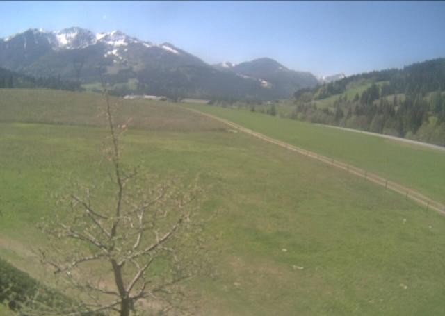 Archived image Webcam Hochfilzen, Tyrol