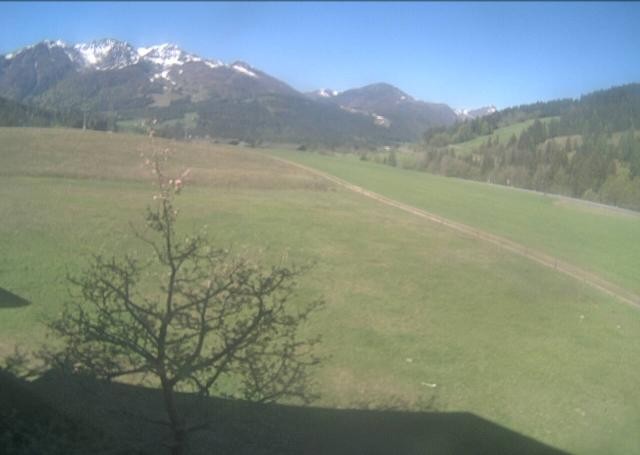 Archiv Foto Webcam Hochfilzen, Tirol