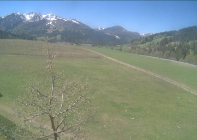 Archiv Foto Webcam Hochfilzen, Tirol
