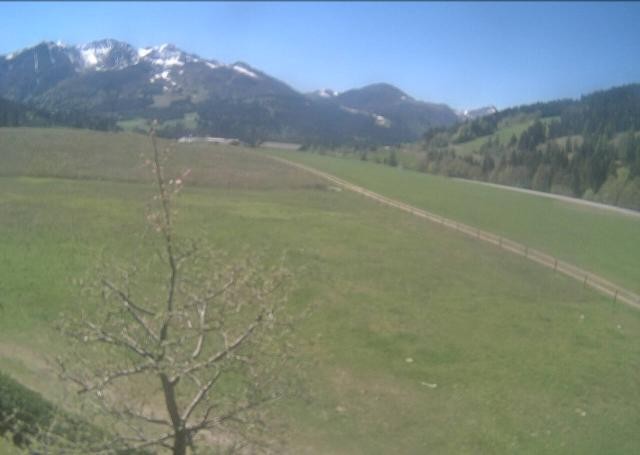 Archiv Foto Webcam Hochfilzen, Tirol