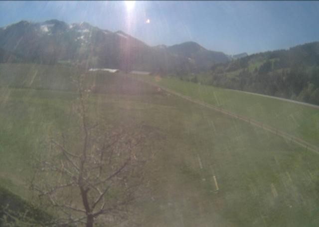 Archiv Foto Webcam Hochfilzen, Tirol