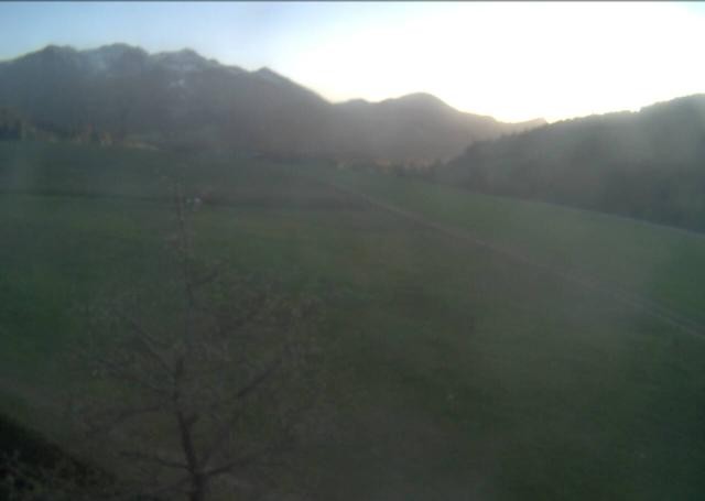 Archiv Foto Webcam Hochfilzen, Tirol