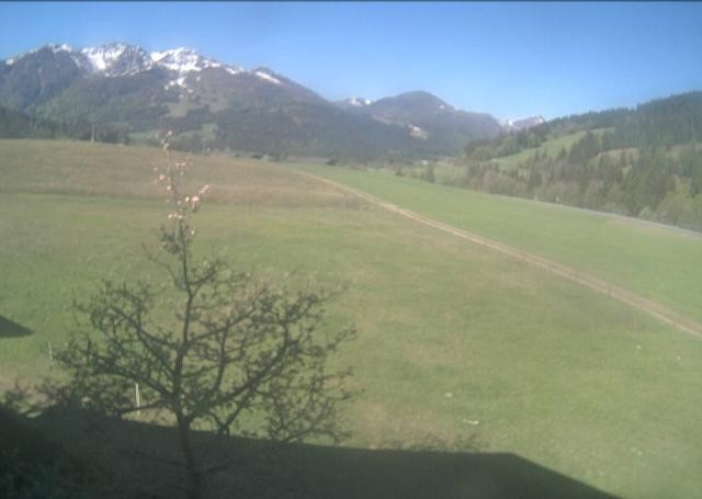 Archiv Foto Webcam Hochfilzen, Tirol