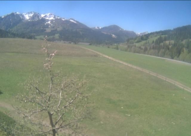 Archiv Foto Webcam Hochfilzen, Tirol