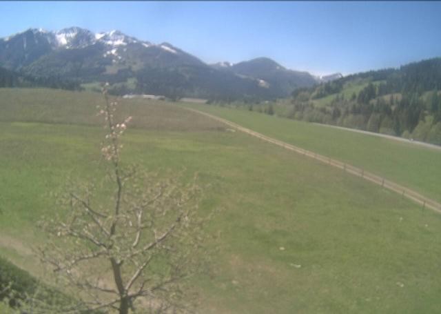 Archiv Foto Webcam Hochfilzen, Tirol