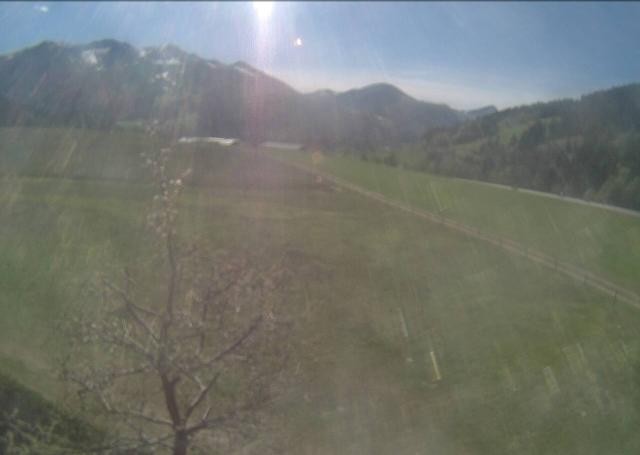 Archiv Foto Webcam Hochfilzen, Tirol