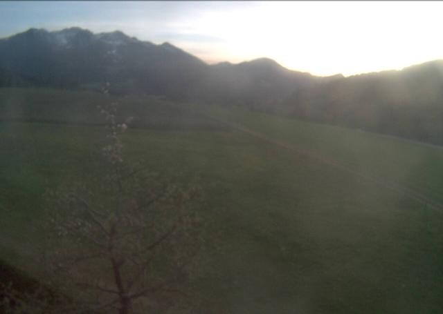 Archiv Foto Webcam Hochfilzen, Tirol