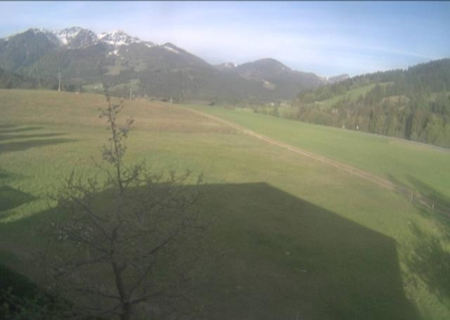 Archived image Webcam Hochfilzen, Tyrol