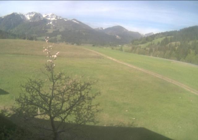 Archived image Webcam Hochfilzen, Tyrol