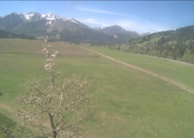Archived image Webcam Hochfilzen, Tyrol