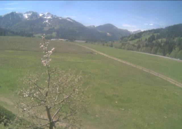 Archived image Webcam Hochfilzen, Tyrol