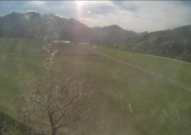 Archived image Webcam Hochfilzen, Tyrol