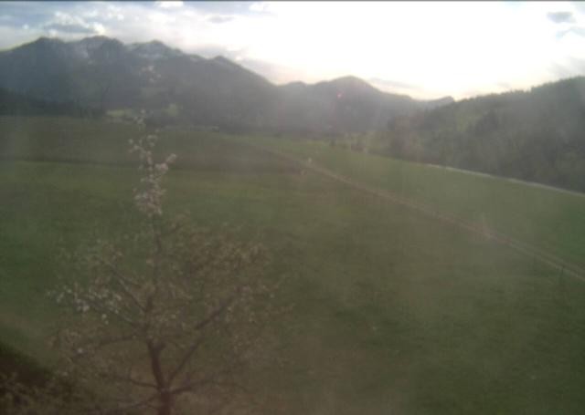 Archived image Webcam Hochfilzen, Tyrol