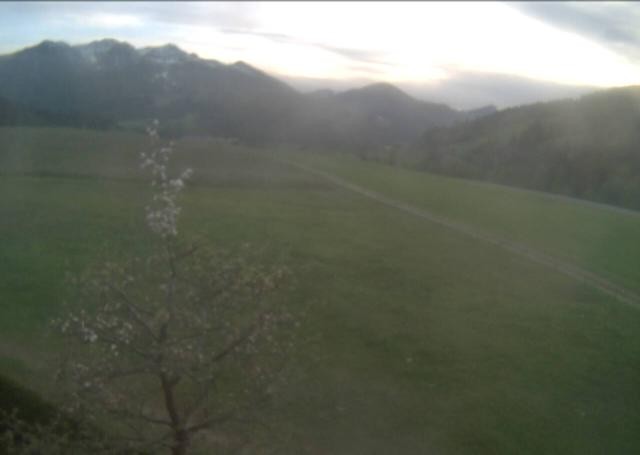 Archived image Webcam Hochfilzen, Tyrol