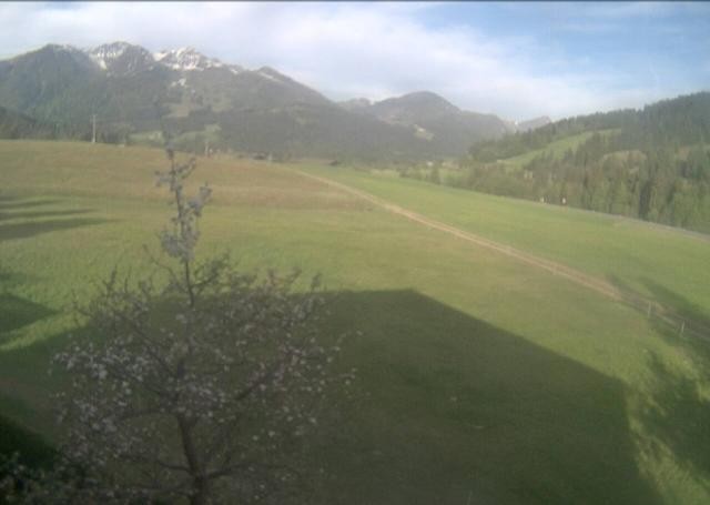 Archiv Foto Webcam Hochfilzen, Tirol
