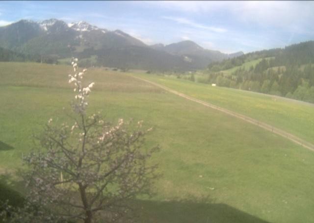 Archiv Foto Webcam Hochfilzen, Tirol