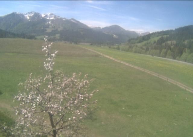 Archiv Foto Webcam Hochfilzen, Tirol