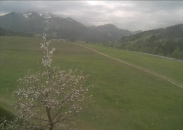Archiv Foto Webcam Hochfilzen, Tirol