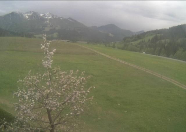 Archiv Foto Webcam Hochfilzen, Tirol