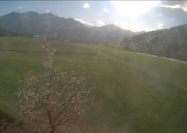 Archiv Foto Webcam Hochfilzen, Tirol