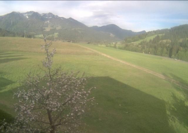 Archived image Webcam Hochfilzen, Tyrol