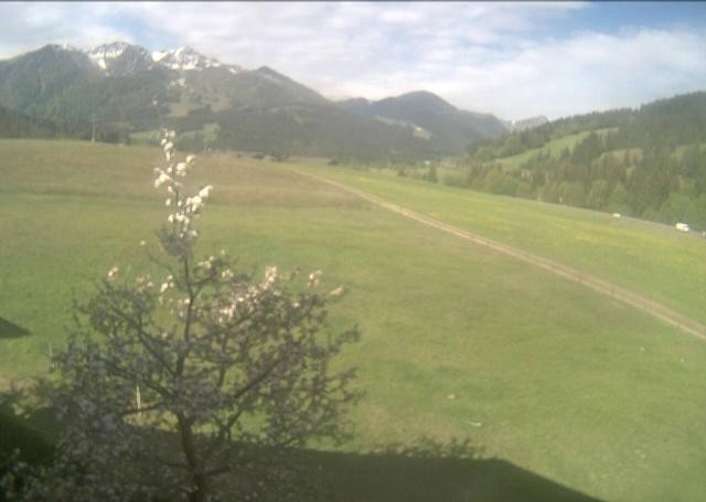 Archiv Foto Webcam Hochfilzen, Tirol