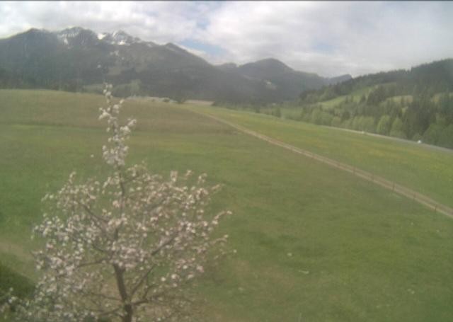 Archiv Foto Webcam Hochfilzen, Tirol